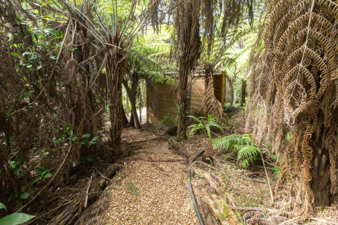 Karaka Sanctuary With Spa Pool By Waiheke Unlimited Oneroa Camera foto